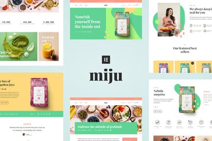 template-kit-miju-conscious-business-elementor-template-kit-cover