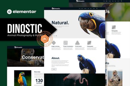 Dinostic-Coverimage-template-kit-2022