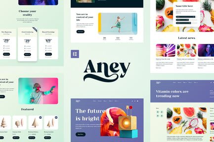 aney-cover